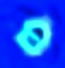 @leks@ndr@'s Avatar